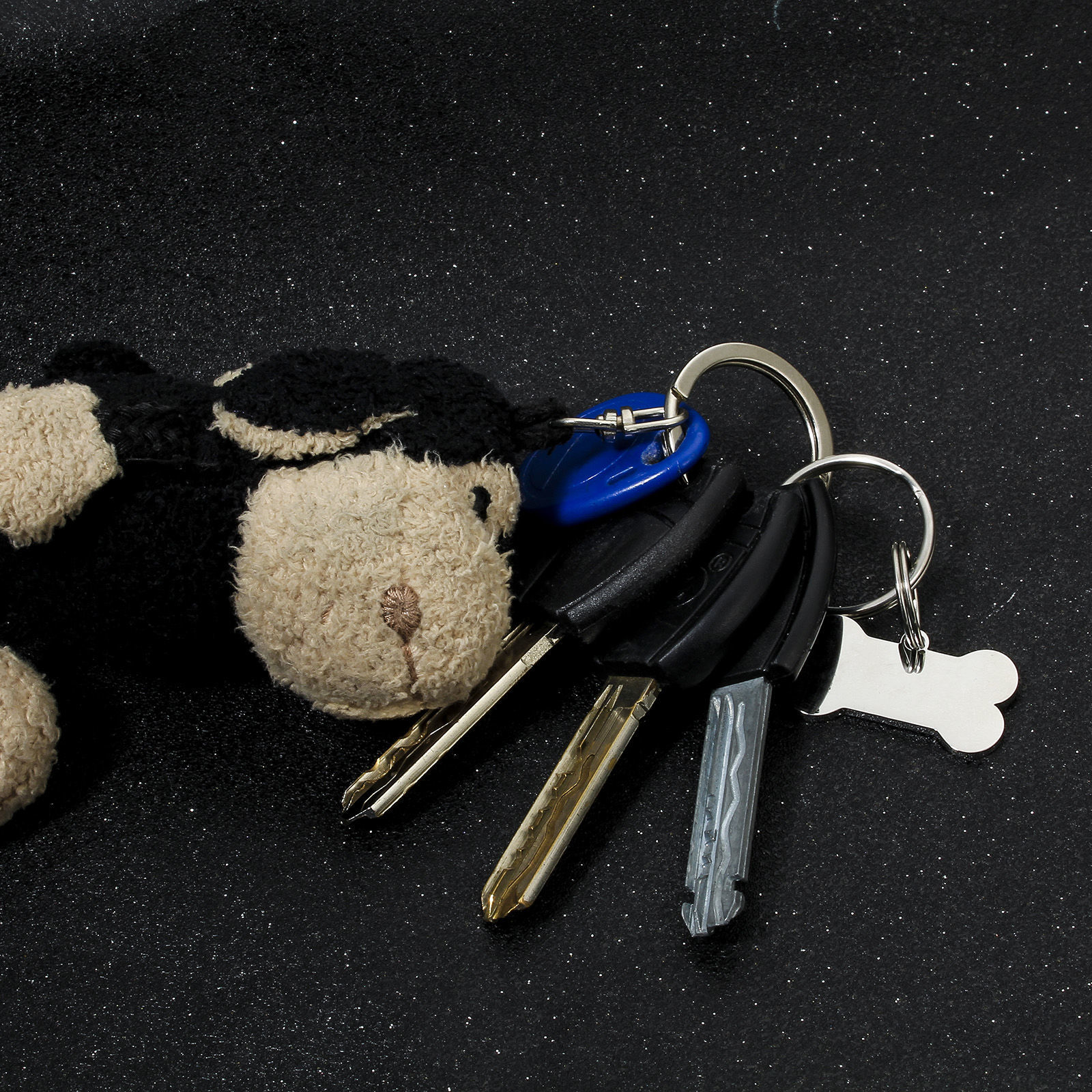 Bild von 1 Stück 304 Edelstahl Haustier-ID-Hundehalsband-Namensschild Leere Stempeletiketten Schlüsselkette & Schlüsselring Silberfarbe Knochen Spiegelpolieren