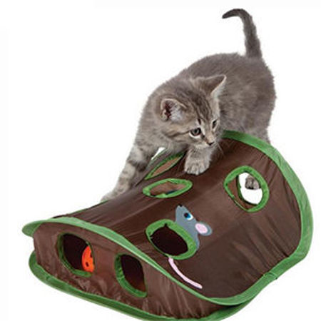 Picture for category Pet Toys