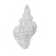 Immagine di Ottone Charms Conchiglia Argento Placcato 22mm x 13mm , 2 Pz