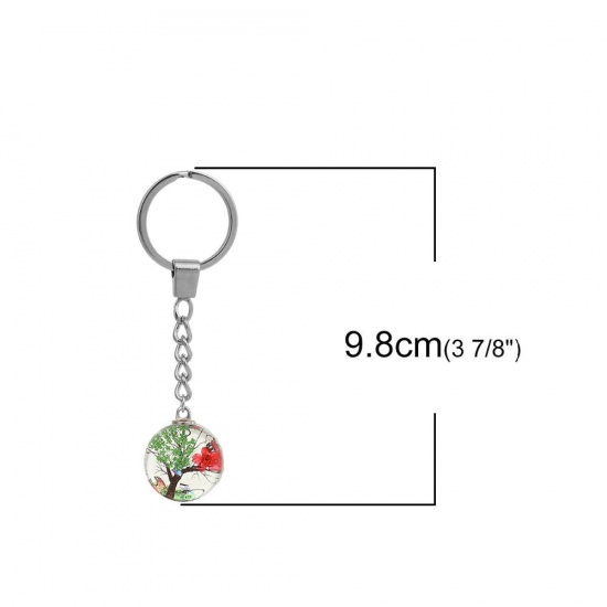Bild von Getrocknete Blumen Transparent Glaskugel Flasche Schlüsselkette & Schlüsselring Baum Silberfarbe Rot Zufällig Mix 9.8cm, 1 Stück