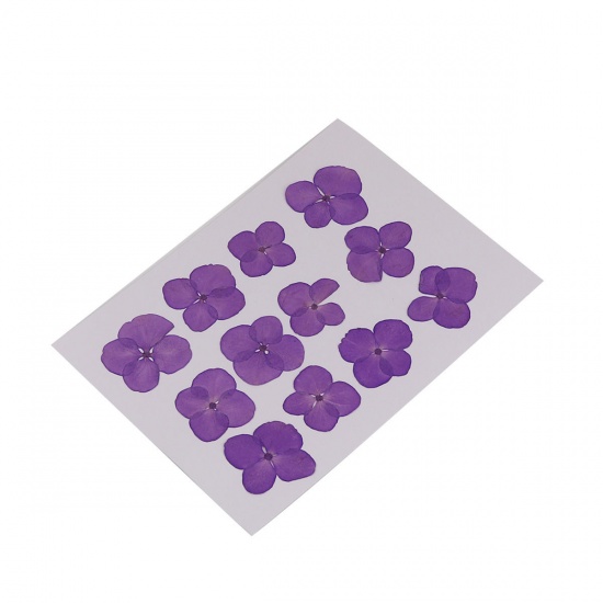 Picture of Real Dried Flower Resin Jewelry DIY Making Craft Hydrangea Dark Purple 30mm x30mm(1 1/8" x1 1/8") - 17mm x17mm( 5/8" x 5/8"), 1 Packet ( 12 PCs/Packet)