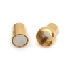 Imagen de 304 Acero Inoxidable & Hematites Magnético Corchetes Magnéticos Chapado en Oro 21mm x 10mm, 1 Unidad