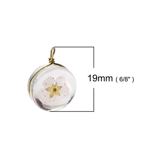 Image de Breloques en Laiton+Verre Rond Fleur Séchée Rose Transparent 19mm x 14mm, 2 Pcs