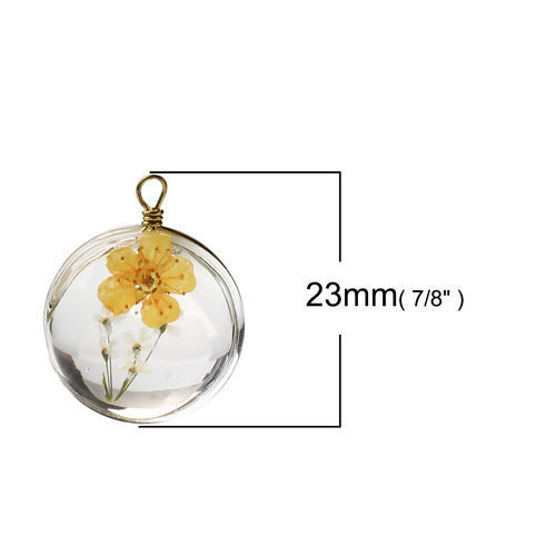 Image de Breloques en Laiton+Verre Rond Fleur Séchée Orange Transparent 23mm x 18mm, 2 Pcs