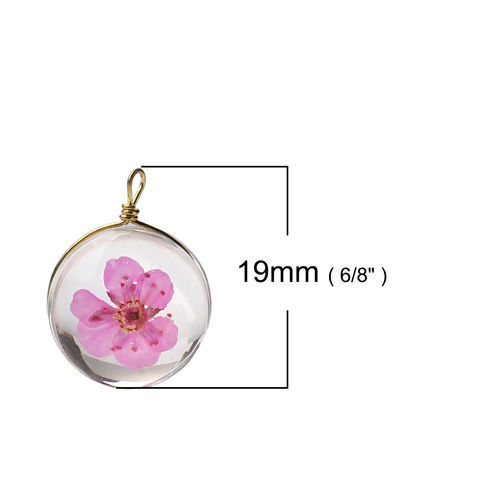 Image de Breloques en Laiton+Verre Rond Fleur Séchée Rose Transparent 19mm x 14mm, 2 Pcs