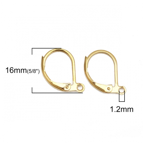Picture of 304 Stainless Steel Lever Back Clips Earrings Drop Gold Plated W/ Loop 16mm x 10mm, Post/ Wire Size: (18 gauge), 50 PCs