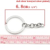 Picture of Iron Based Alloy Keychain & Keyring Round Silver Tone 6.8cm Dia, 10 PCs