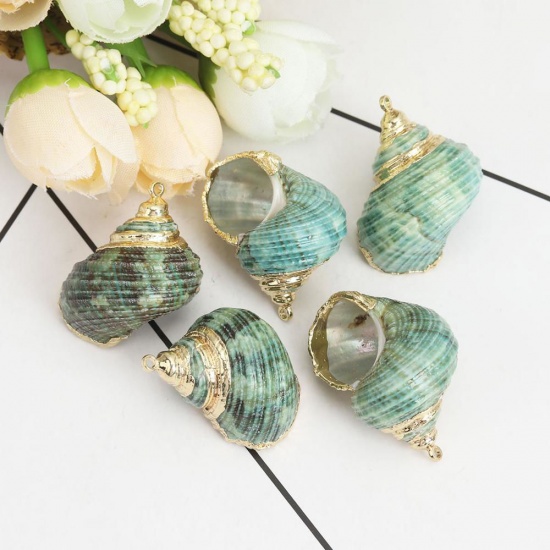 Picture of Natural Shell Pendants Gold Plated Conch/ Sea Snail Green 3.1cm x 2.5cm - 2.5cm x 1.8cm, 5 PCs