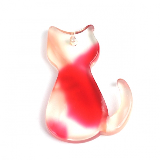 Image de Breloques en Acide Acétique Résine Acétate Acrylique Acetimar Marbre Chat Rouge 25mm x 17mm, 5 Pcs