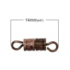 Picture of Brass Cord End Caps Cylinder Screw Antique Copper 14mm(4/8") x 4mm(1/8"), 5 PCs