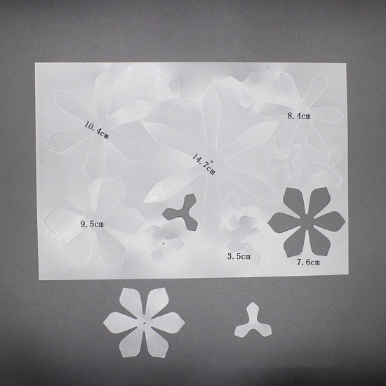 Image de Plastique Dingue/Fou Semi-Transparent Epiphyllum Oxypotalum Imprimable 29cm x 20cm, 2 Pièces