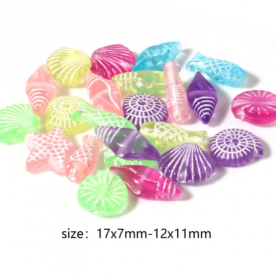 Picture of Acrylic Ocean Jewelry Beads Conch/ Sea Snail At Random Color Star Fish Pattern About 17mm x 7mm - 12mm x 11mm, Hole: Approx 1.6mm, 300 PCs