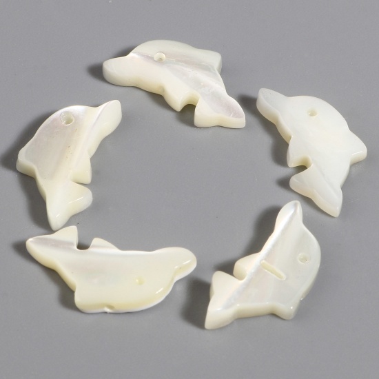 Picture of Ocean Jewelry Natural Shell Loose Beads Dolphin Animal Creamy-White About 17mm x 8mm, Hole:Approx 0.8mm, 5 PCs