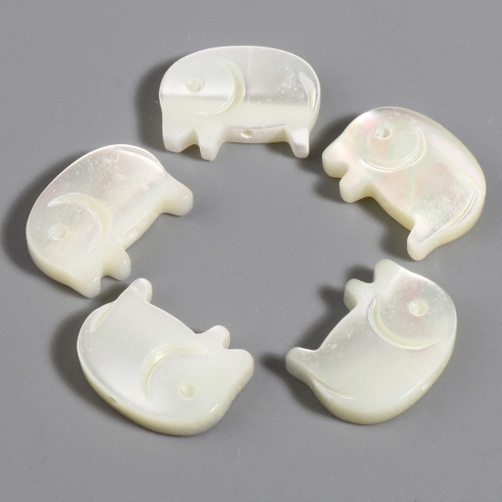 Picture of Natural Shell Loose Beads Elephant Animal Creamy-White About 14mm x 11mm, Hole:Approx 0.8mm, 5 PCs
