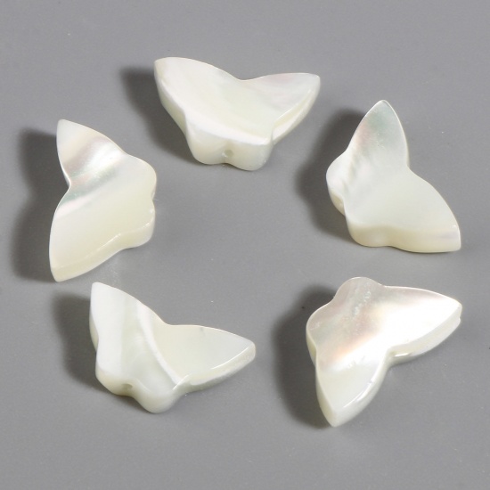 Picture of Insect Natural Shell Loose Beads Butterfly Animal Creamy-White About 14mm x 8mm, Hole:Approx 0.8mm, 5 PCs
