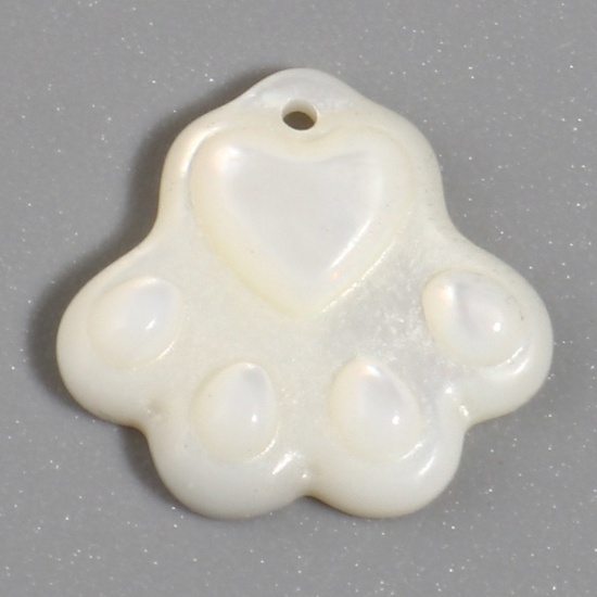 Picture of Natural Shell Charms Paw Claw Creamy-White 13mm x 13mm, 1 Piece