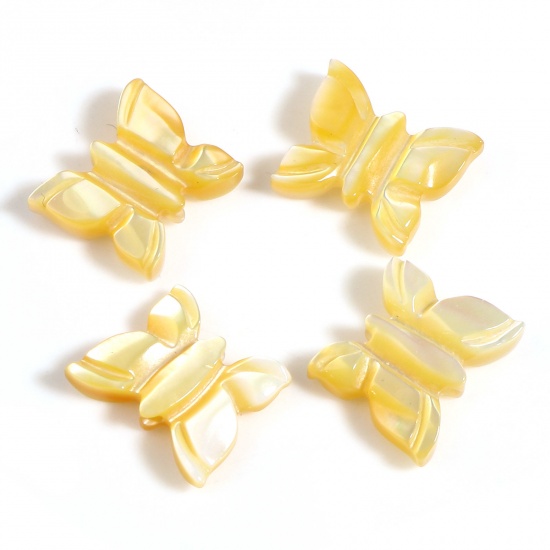 Picture of Insect Natural Shell Loose Beads Butterfly Animal Yellow About 11mm x 9mm, Hole:Approx 0.8mm, 1 Piece