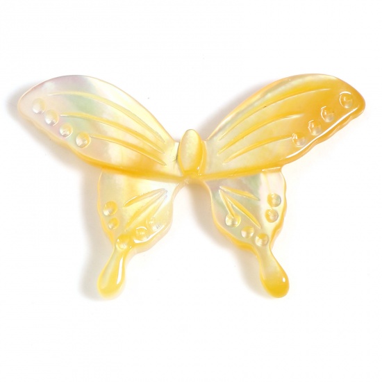 昆虫 天然 シェル ビーズ 蝶 黄色 約 30mmx 20mm、穴：0.8mm、 1 個 の画像