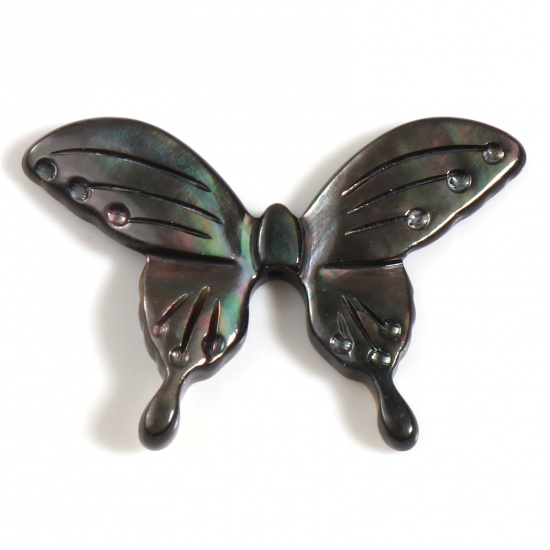 Picture of Insect Natural Shell Loose Beads Butterfly Animal Taupe Gray About 30mm x 20mm, Hole:Approx 0.8mm, 1 Piece