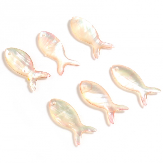 Picture of Natural Shell Ocean Jewelry Charms Fish Animal Orange Pink 25mm x 10mm, 2 PCs