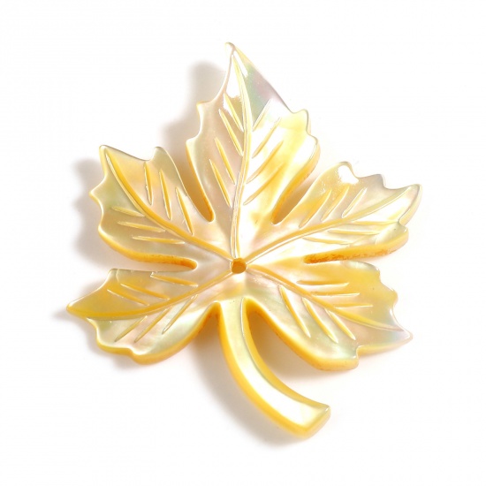 Picture of Natural Shell Pendants Maple Leaf Yellow 30mm x 25mm, 1 Piece