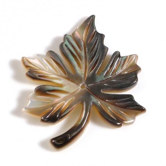 Picture of Natural Shell Pendants Maple Leaf Taupe Gray 30mm x 25mm, 1 Piece