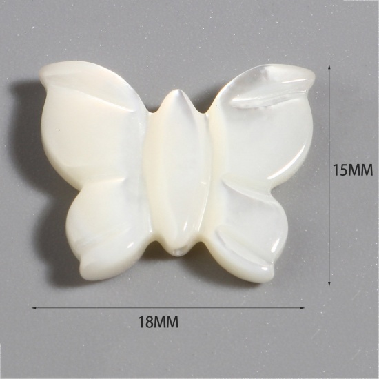 昆虫 天然 シェル ビーズ 蝶 オフホワイト 約 18mmx 15mm、穴：0.8mm、 1 個 の画像