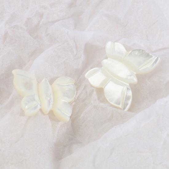 Picture of Insect Natural Shell Loose Beads Butterfly Animal Creamy-White About 18mm x 15mm, Hole:Approx 0.8mm, 1 Piece