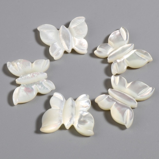 Picture of Insect Natural Shell Loose Beads Butterfly Animal Creamy-White About 18mm x 15mm, Hole:Approx 0.8mm, 1 Piece