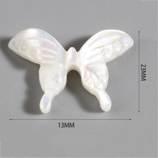 昆虫 天然 シェル ビーズ 蝶 白 約 20mmx 14mm、 穴： 0.7mm、 1 個 の画像