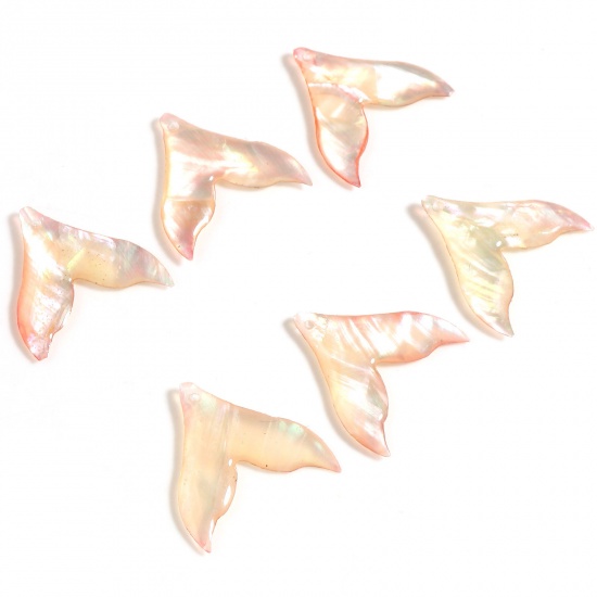 Immagine di Naturale Conchiglia Charms Fishtail Arancione Chiara 20mm x 19mm, 2 Pz