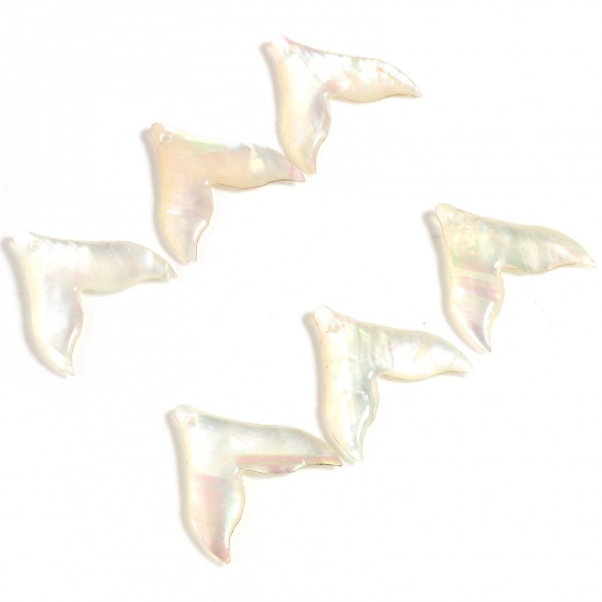 Picture of Natural Shell Charms Fishtail Pale Yellow 20mm x 19mm, 2 PCs