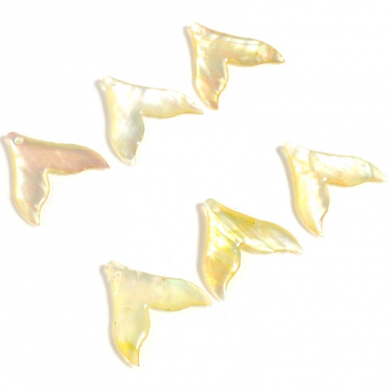 Picture of Natural Shell Charms Fishtail Yellow 20mm x 19mm, 2 PCs