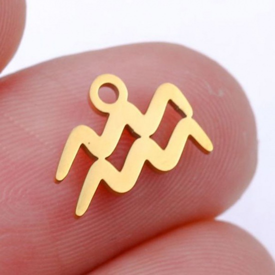 Picture of 201 Stainless Steel Charms Gold Plated Aquarius Sign Of Zodiac Constellations Polished 9.5mm x 9.5mm, 5 PCs