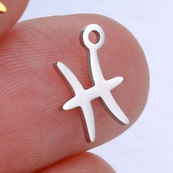 Picture of 201 Stainless Steel Charms Silver Tone Pisces Sign Of Zodiac Constellations Polished 9.5mm x 9.5mm, 5 PCs