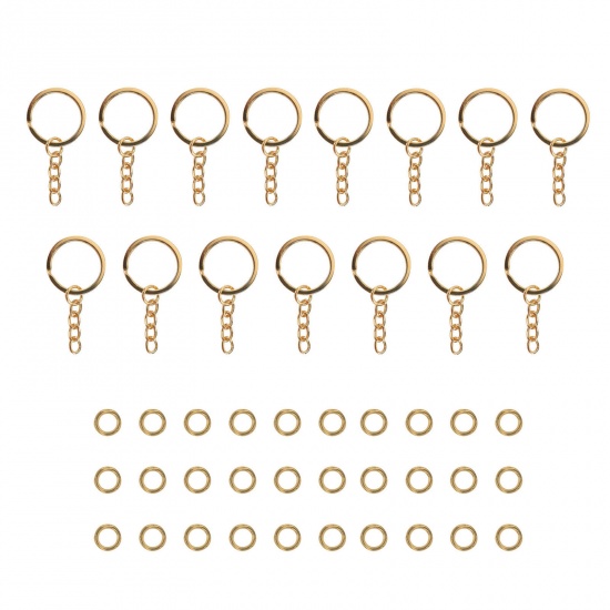 Picture of Alloy Pet Memorial Keychain Jewelry Accessories Findings Gold Plated 1 Set
