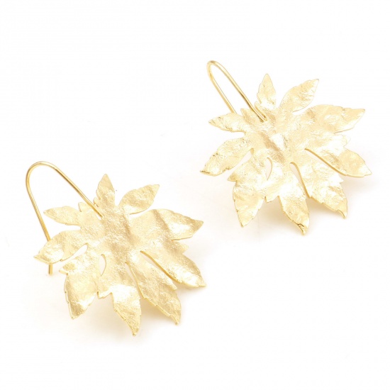 Picture of Brass Flora Collection Ear Wire Hook Earrings Matt Gold Maple Leaf 36mm x 31mm, Post/ Wire Size: (21 gauge), 2 PCs