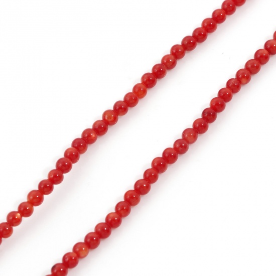 Image de Perles pour DIY Fabrication de Bijoux de Charme en Coquille Rond Rouge 3mm Dia, Taille de Trou: 0.4mm, 38cm long, 1 Enfilade （Env. 132 Pcs/Enfilade)