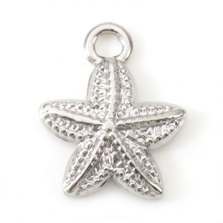 Picture of Eco-friendly 304 Stainless Steel Ocean Jewelry Charms Silver Tone Starfish 15mm x 12mm, 2 PCs
