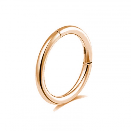 Picture of 316 Stainless Steel Nose Ring Hoops Body Piercing Jewelry Round Rose Gold 12mm Dia., Post/ Wire Size: (17 gauge), 2 PCs