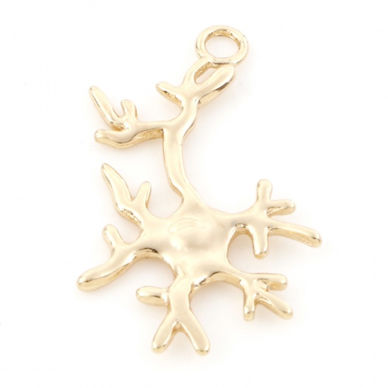 Imagen de Latón Joyería del océano Colgantes Charms Coral 18K Oro Real Chapado 24mm x 15mm, 2 Unidades