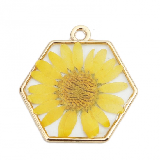 Picture of 3 PCs Zinc Based Alloy Handmade Resin Jewelry Real Flower Charms Gold Plated Yellow Hexagon 29mm x 28mm