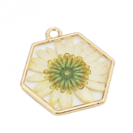 Picture of 3 PCs Zinc Based Alloy Handmade Resin Jewelry Real Flower Charms Gold Plated Yellow Hexagon 29mm x 28mm