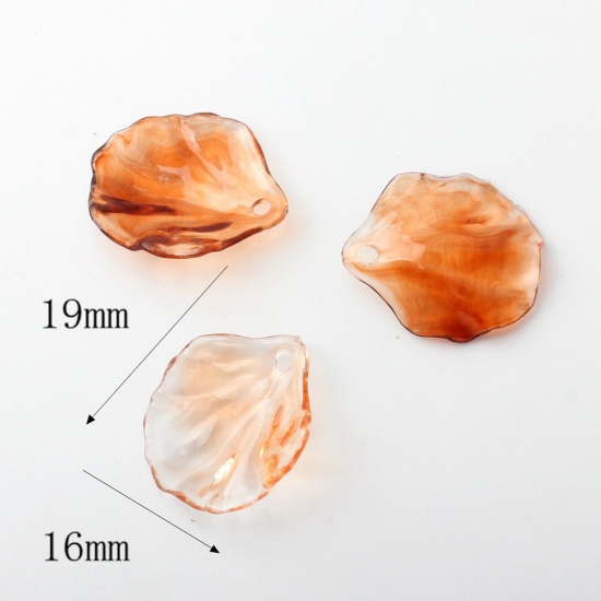 Picture of 10 PCs Acrylic Charms Shell Brown Transparent Watercolor 19mm x 16mm