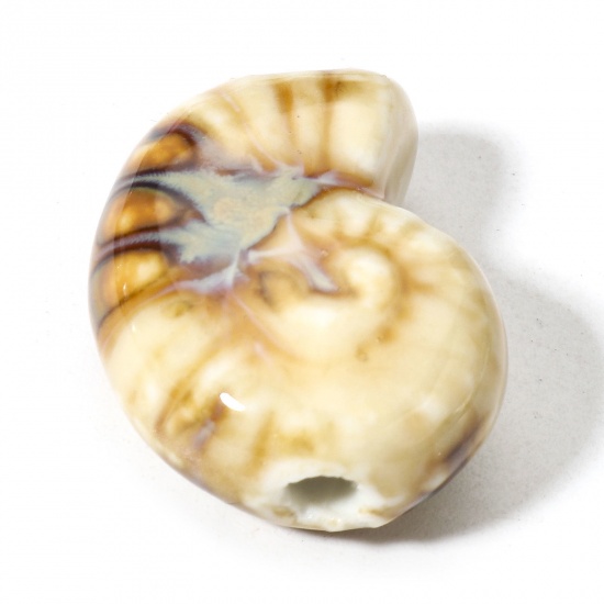 Bild von 10 Stück Keramik Ozean Schmuck Perlen für die Herstellung von DIY-Charme-Schmuck Strandschnecke Beige 3D ca. 21mm x 17mm, Loch:ca. 2mm
