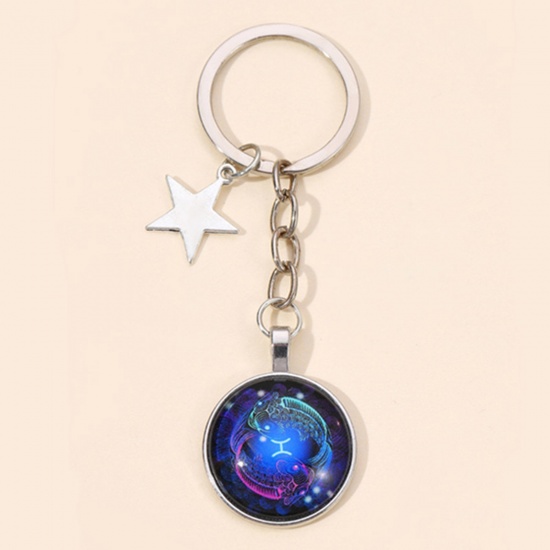 Bild von 1 Stück Glas Galaxis Schlüsselkette & Schlüsselring Silberfarbe Sternbild Sternbild Fische 9cm