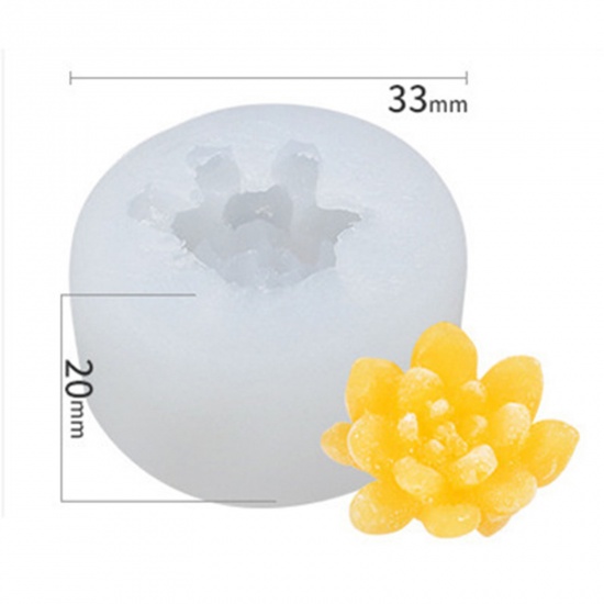 Immagine di 1 Pz Silicone Stampo in Resina per la Produzione di Sapone per Candele Fai-Da-Te Pianta Succulenta 3D Bianco 3.3cm x 2cm