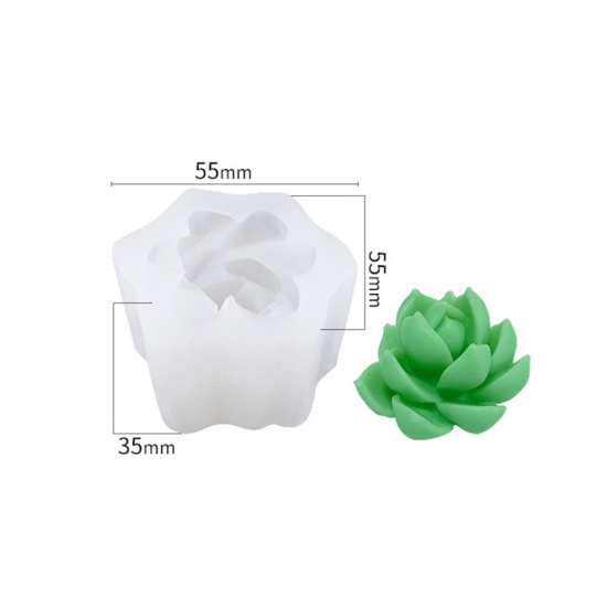 Immagine di 1 Pz Silicone Stampo in Resina per la Produzione di Sapone per Candele Fai-Da-Te Pianta Succulenta 3D Bianco 5.5cm x 5.5cm