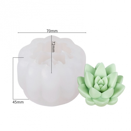 Immagine di 1 Pz Silicone Stampo in Resina per la Produzione di Sapone per Candele Fai-Da-Te Pianta Succulenta 3D Bianco 7.2cm x 7cm