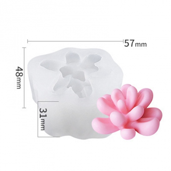 Immagine di 1 Pz Silicone Stampo in Resina per la Produzione di Sapone per Candele Fai-Da-Te Pianta Succulenta 3D Bianco 5.7cm x 4.8cm